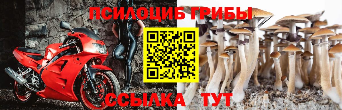 Псилоцибиновые грибы ЛСД  Псилоцибиновые грибы мицелий  Коммунар  Вход с VPN 